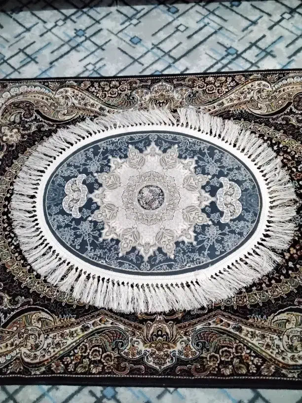 پادری|پادری|تهران, زاهد گیلانی|دیوار