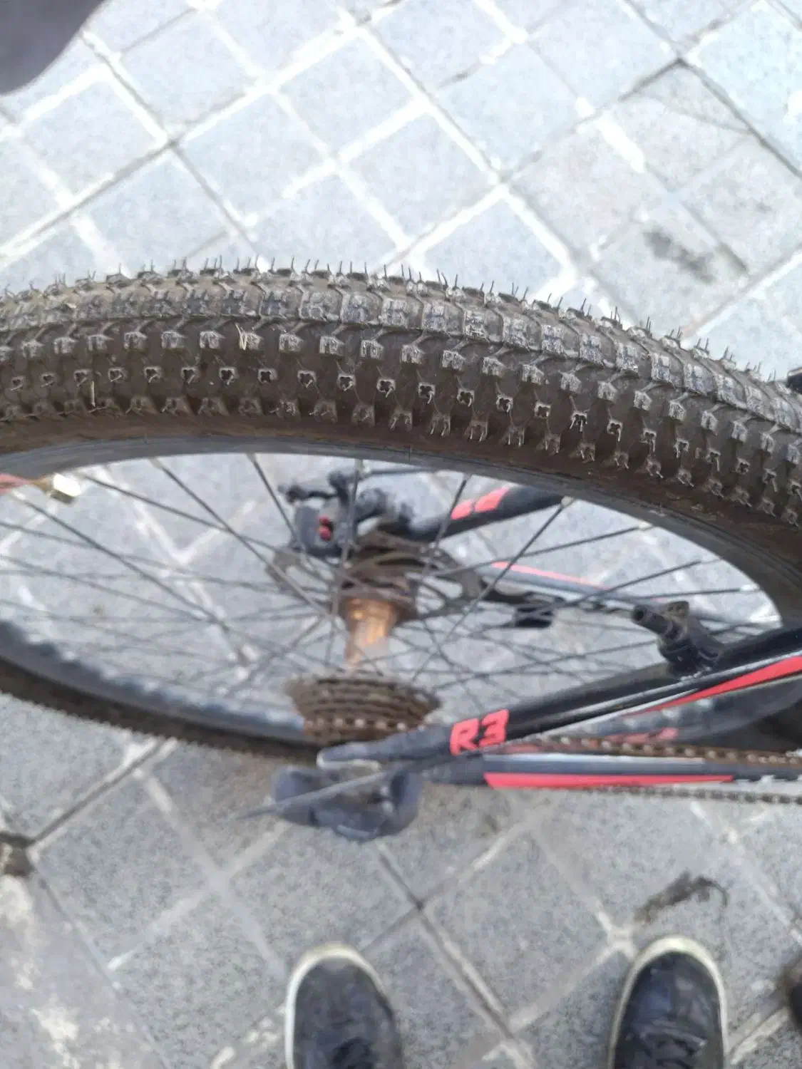 دوچرخه 26|دوچرخه، اسکیت، اسکوتر|تربت جام, شهرک آزادگان|دیوار