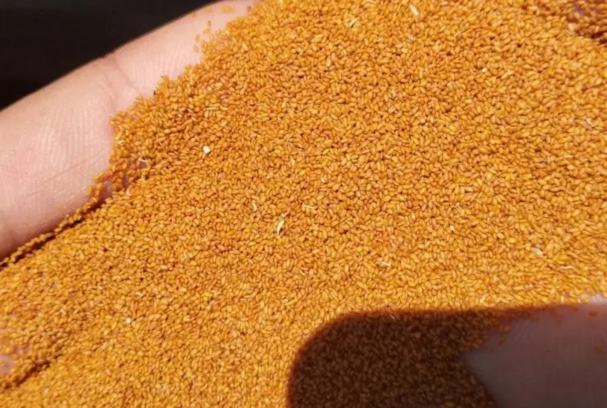 خاکشیر اعلا و درجه یک|خوردنی و آشامیدنی|ماهدشت, |دیوار