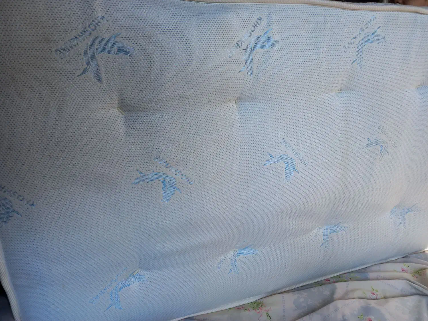 تشک نوجوان|تشک تختخواب|رشت, فلسطین|دیوار