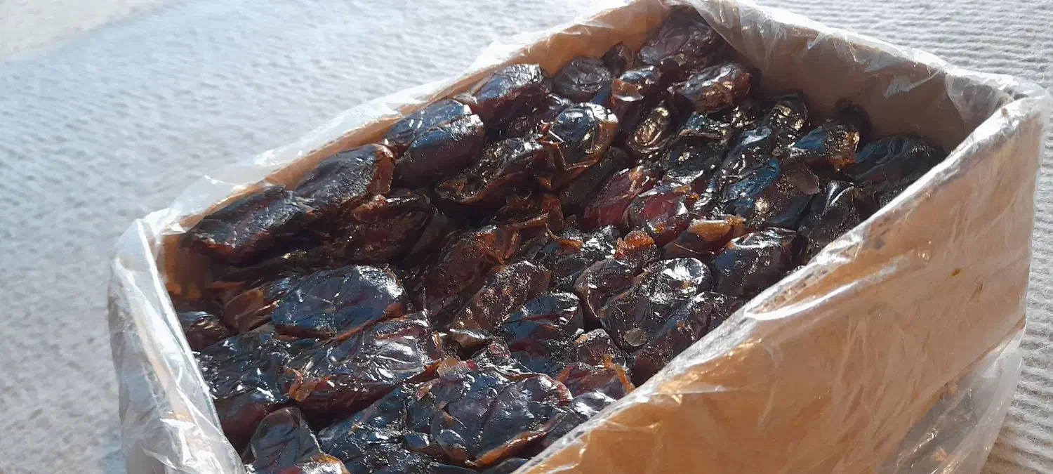 خرما درجه یک کازرونی|خوردنی و آشامیدنی|شیراز, بالا کفت|دیوار