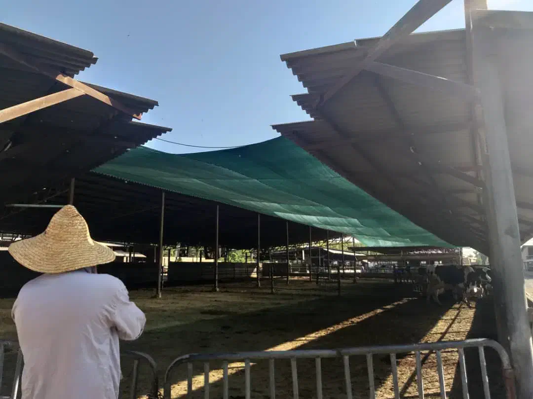 فروش توری های سایبان|خدمات پیشه و مهارت|ری, بازار گل خاوران|دیوار