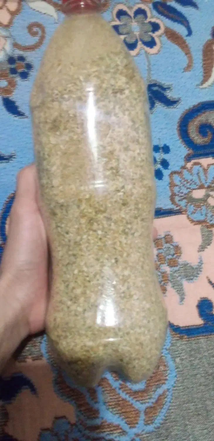 بذر سفید درجه یک یک|گل و گیاه طبیعی|صحنه, |دیوار