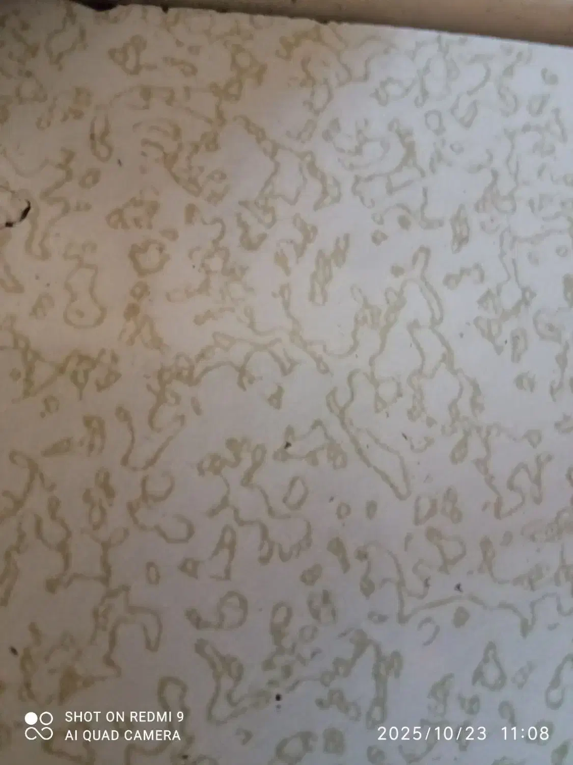 خط و لک|لباس|مریوان, |دیوار