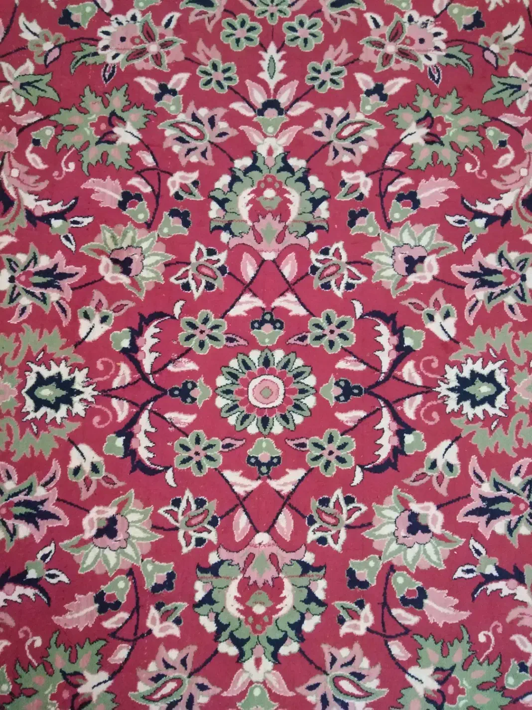 فرش 12متری|فرش|شیراز, پودنک|دیوار