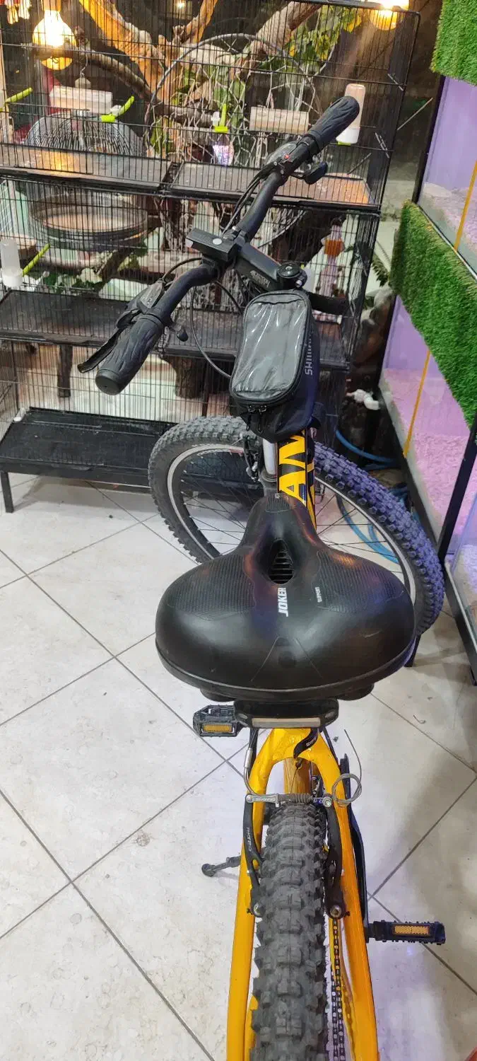 دوچرخه ویوا تنه ۲۹|دوچرخه، اسکیت، اسکوتر|بجستان, |دیوار