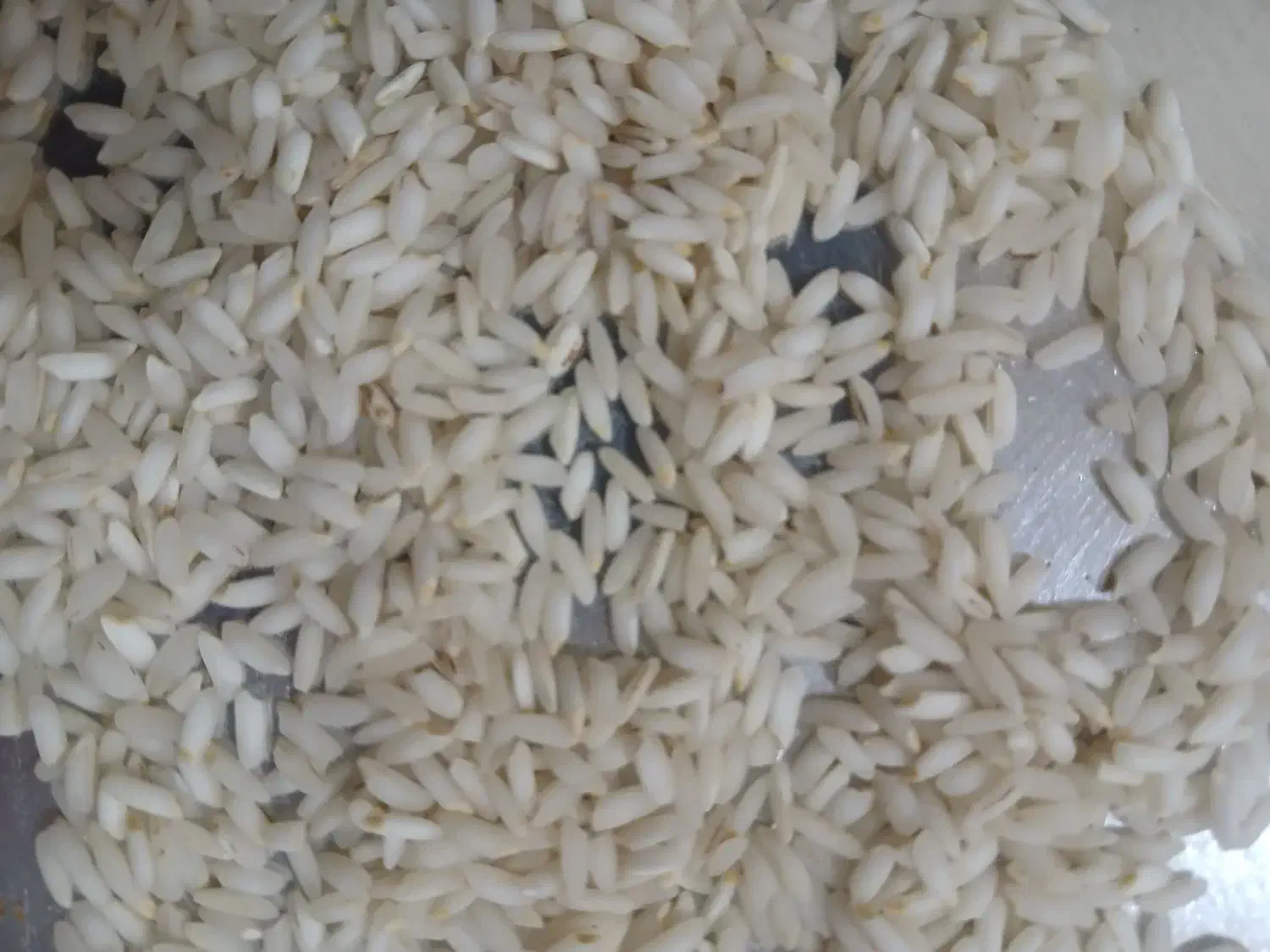 برنج عنبر بو امسالی قیمت عمده|خوردنی و آشامیدنی|قم, نوبهار|دیوار