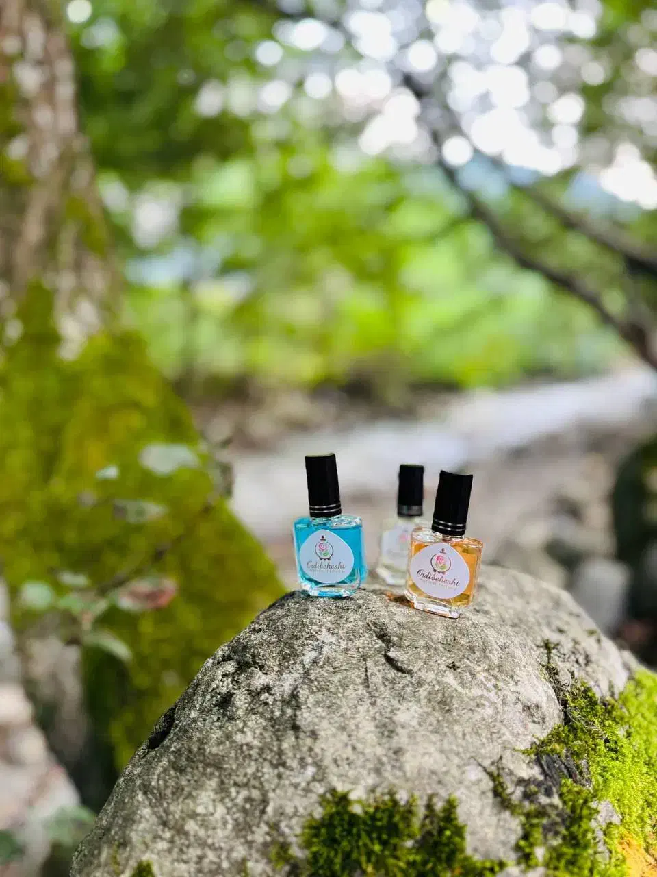 ادکلن زنانه و مردانه|آرایشی، بهداشتی، درمانی|رشت, منظریه|دیوار