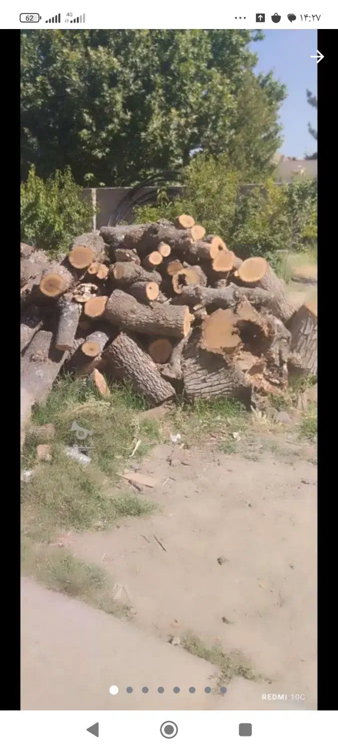 خرید و فروش انواع چوب در حومه بوکان وشاهیندژ|خدمات باغبانی و درختکاری|بوکان, |دیوار