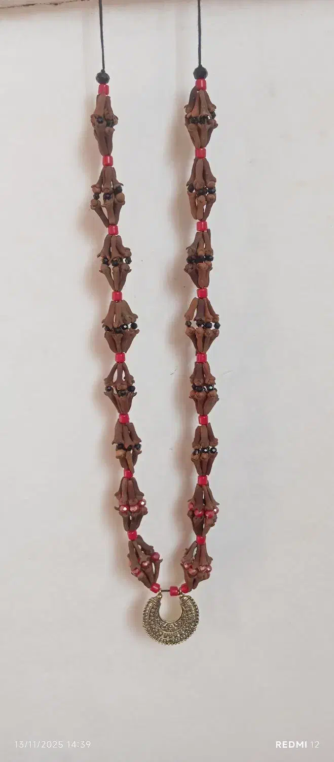 میخک|بدلیجات|سقز, |دیوار