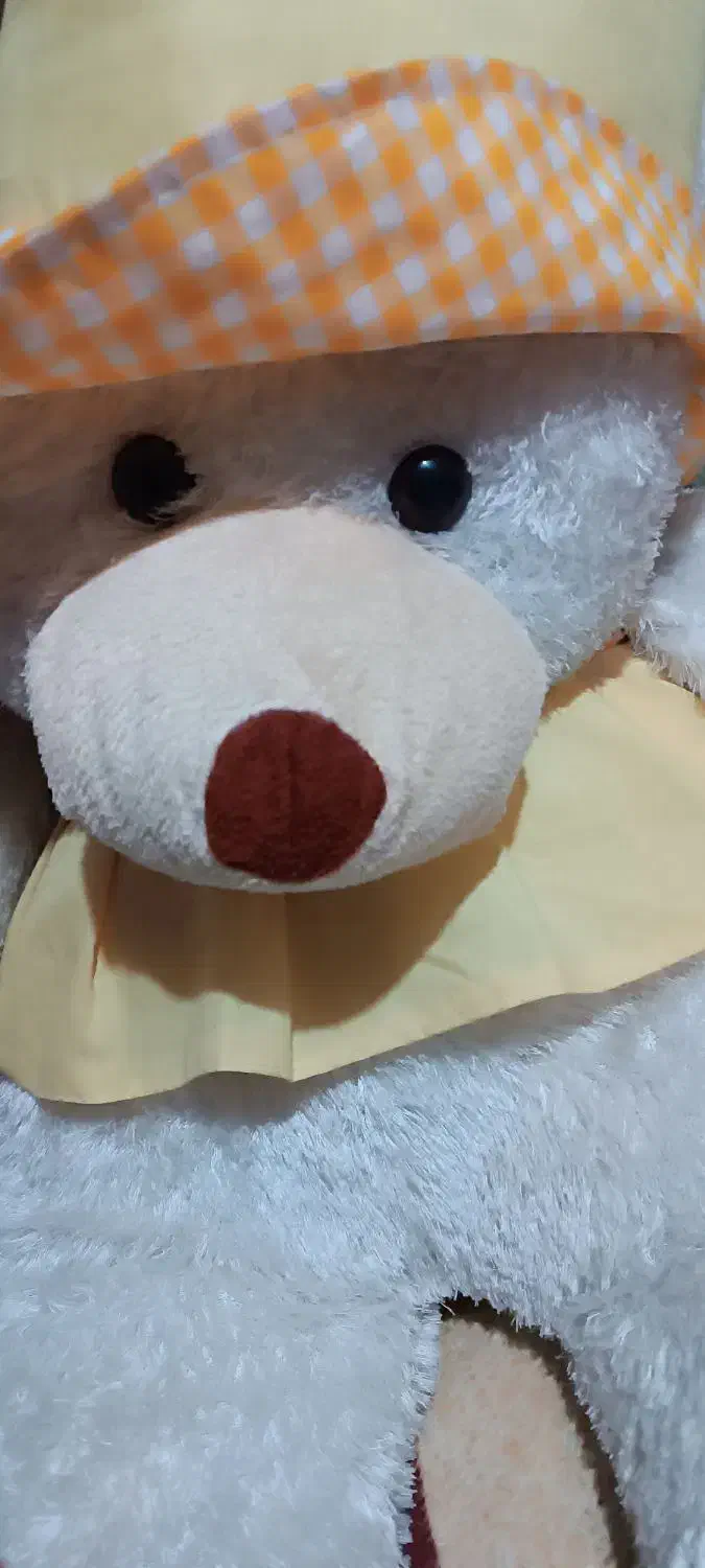 یه عدد خرس بزرگ|اسباب‌بازی بچه|بروجرد, |دیوار