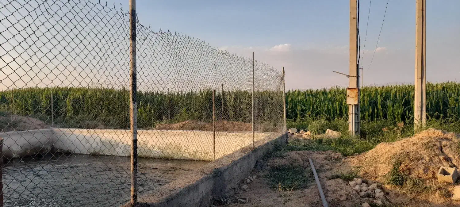 فروش زمین ‌کشاورزی|فروش دفتر صنعتی، کشاورزی، تجاری|کوهدشت, |دیوار