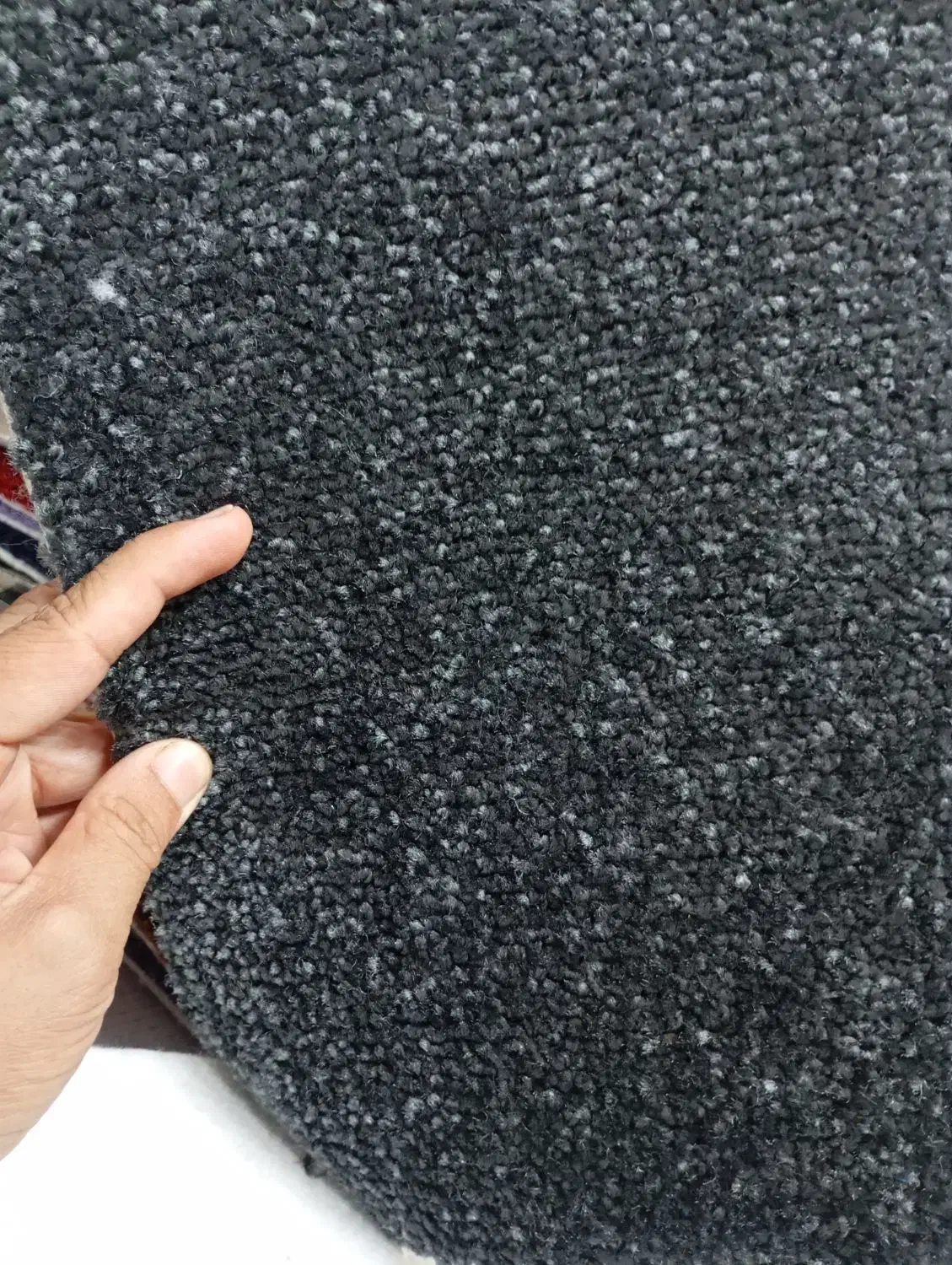 موکت پالاز|موکت|مزرعه کتول, |دیوار