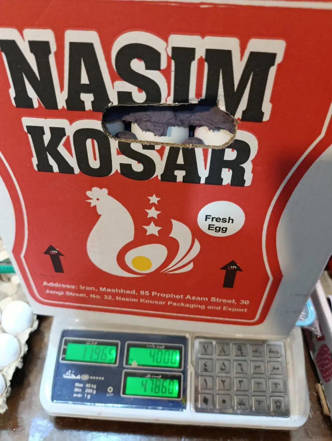 تخم مرغ مارک دارصادراتی|عمده‌فروشی|مشهد, ابوذر|دیوار
