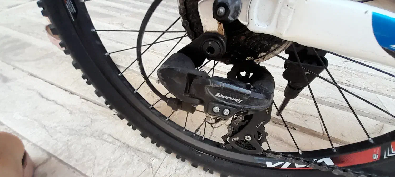 دوچرخه ۲۴ ویوا اصل تایوان|دوچرخه، اسکیت، اسکوتر|پرند, فاز ۵|دیوار