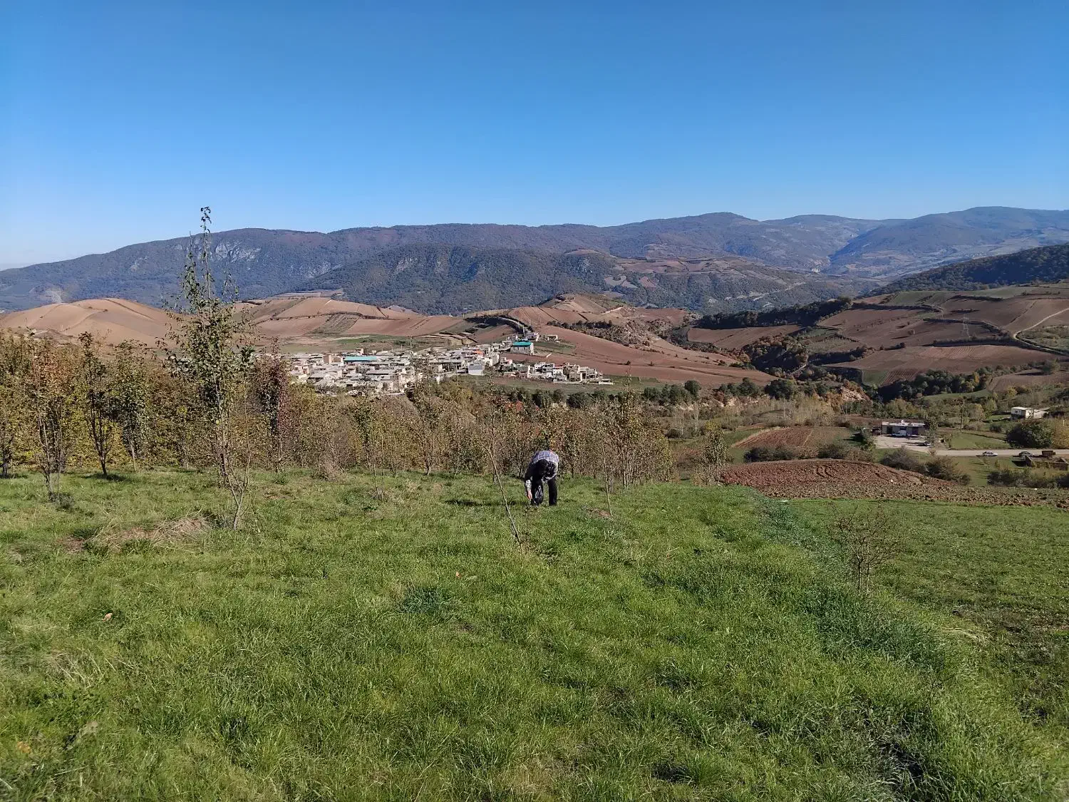 فروش باغ ۵۰۰۰ متری بهمراه زمین زعفران|فروش زمین و ملک کلنگی|دوزین, |دیوار