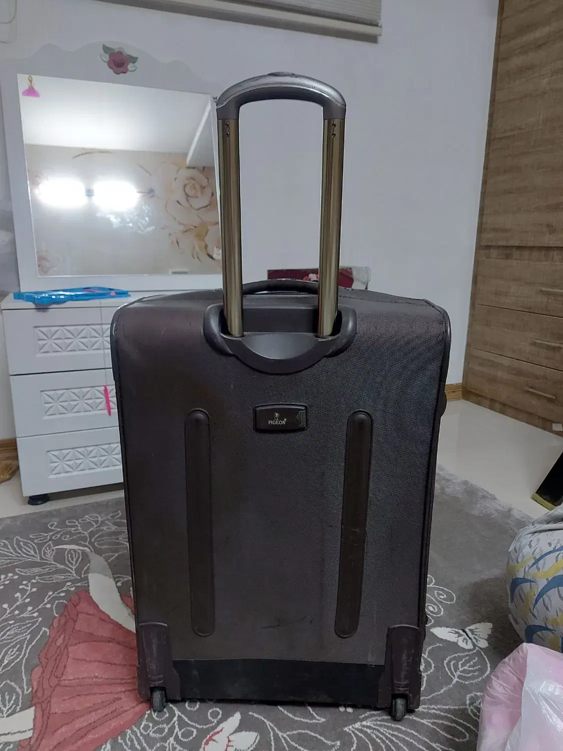 چمدان مسافرتی|کیف، کفش، کمربند|مشهد, شاهد (شهرک غرب)|دیوار