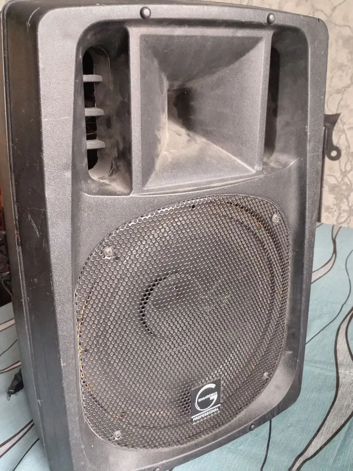 دستگاه اکو همراه قوی به همراه میکروفن بی سیم|پخش‌کننده همراه|کرمان, |دیوار