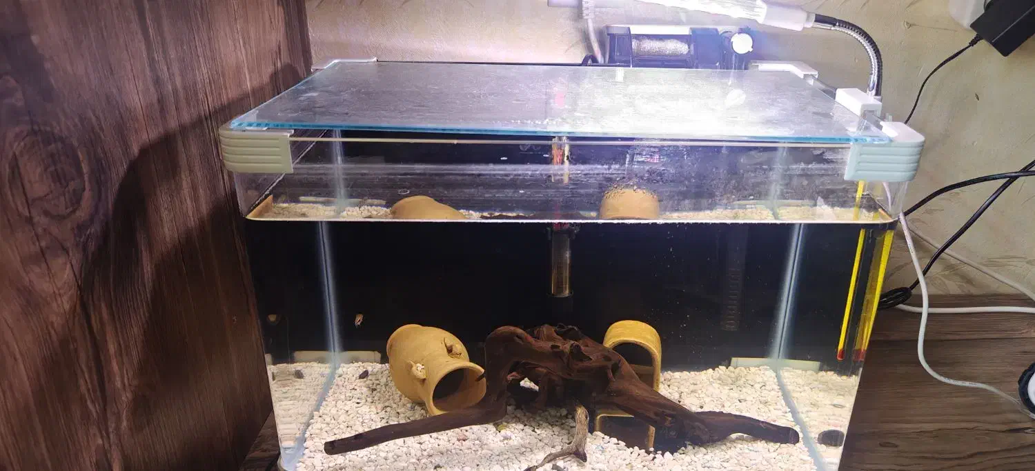 فروش اکواریوم شیشه خم 45*30*25به همراه لوازم کامل|ماهی|کرمانشاه, |دیوار