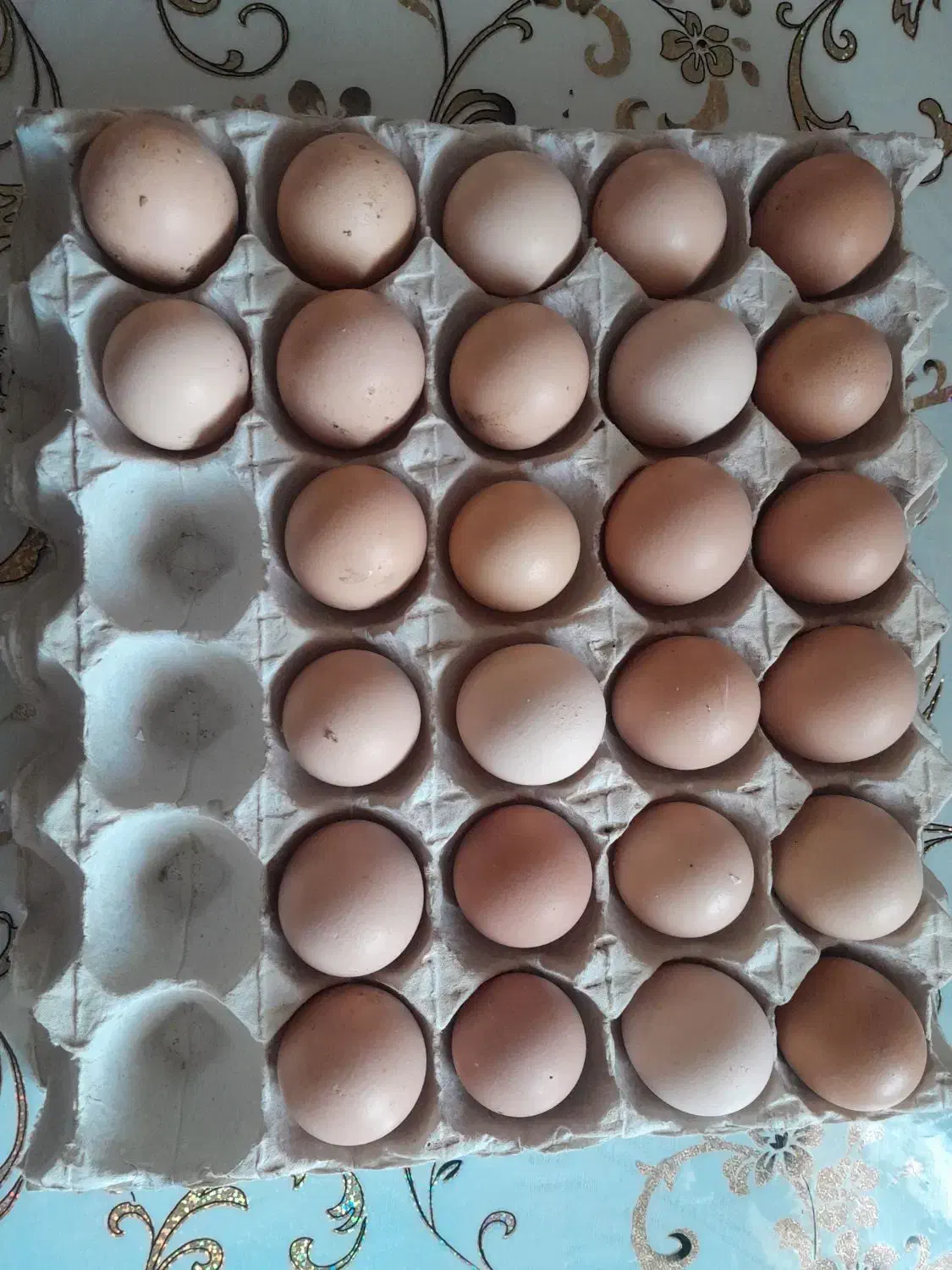 تخم مرغ تازه و نطفه دار|حیوانات مزرعه|کوچصفهان, |دیوار
