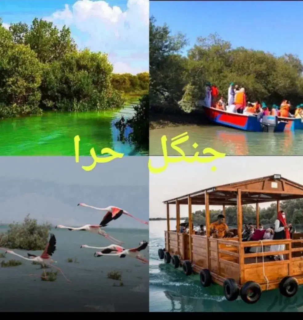 گشت شاد قشم با تویوتا هایلوکس و ترانسفر فرودگاهی|تور و چارتر|قشم, |دیوار