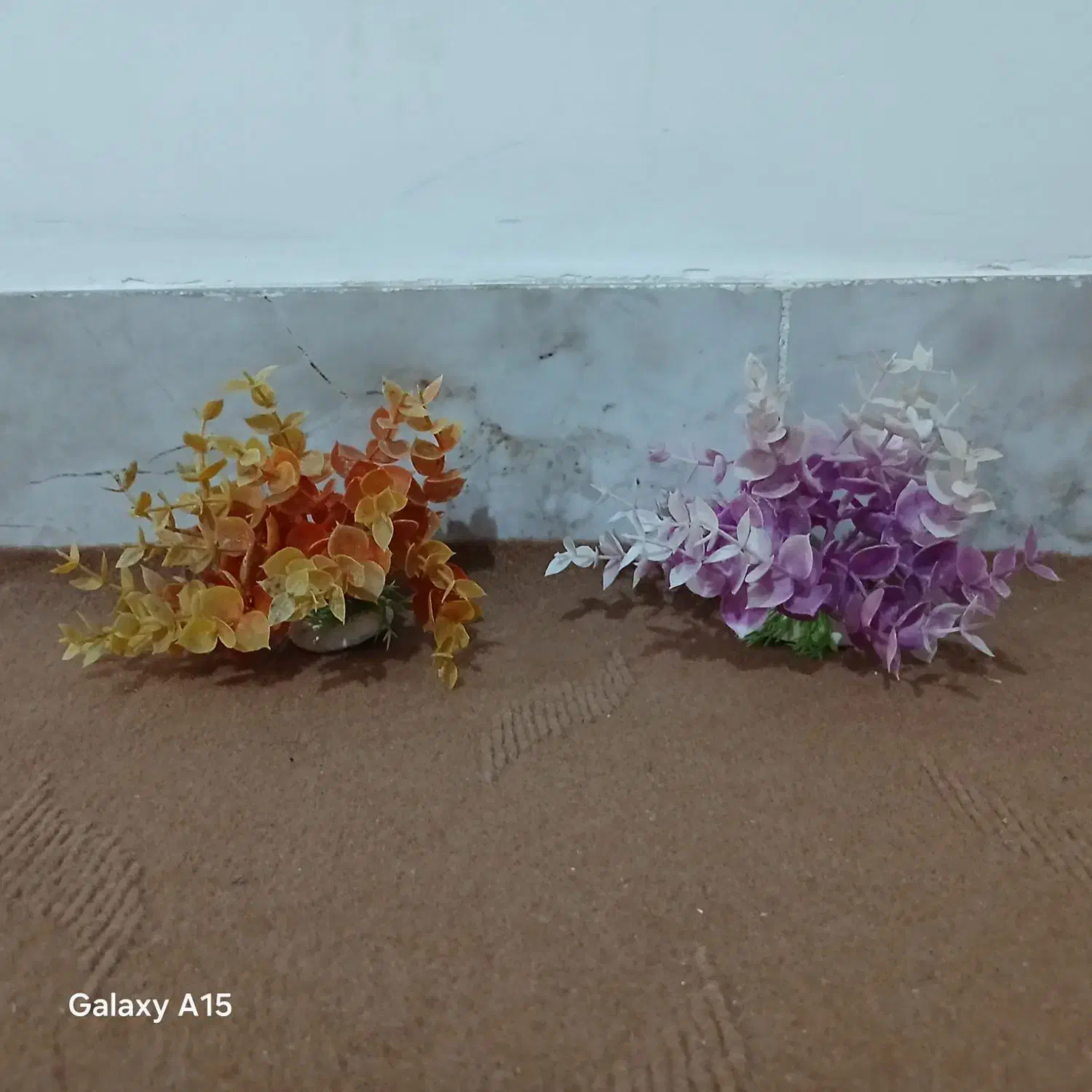 دکور آکواریوم|ماهی|خوی, |دیوار