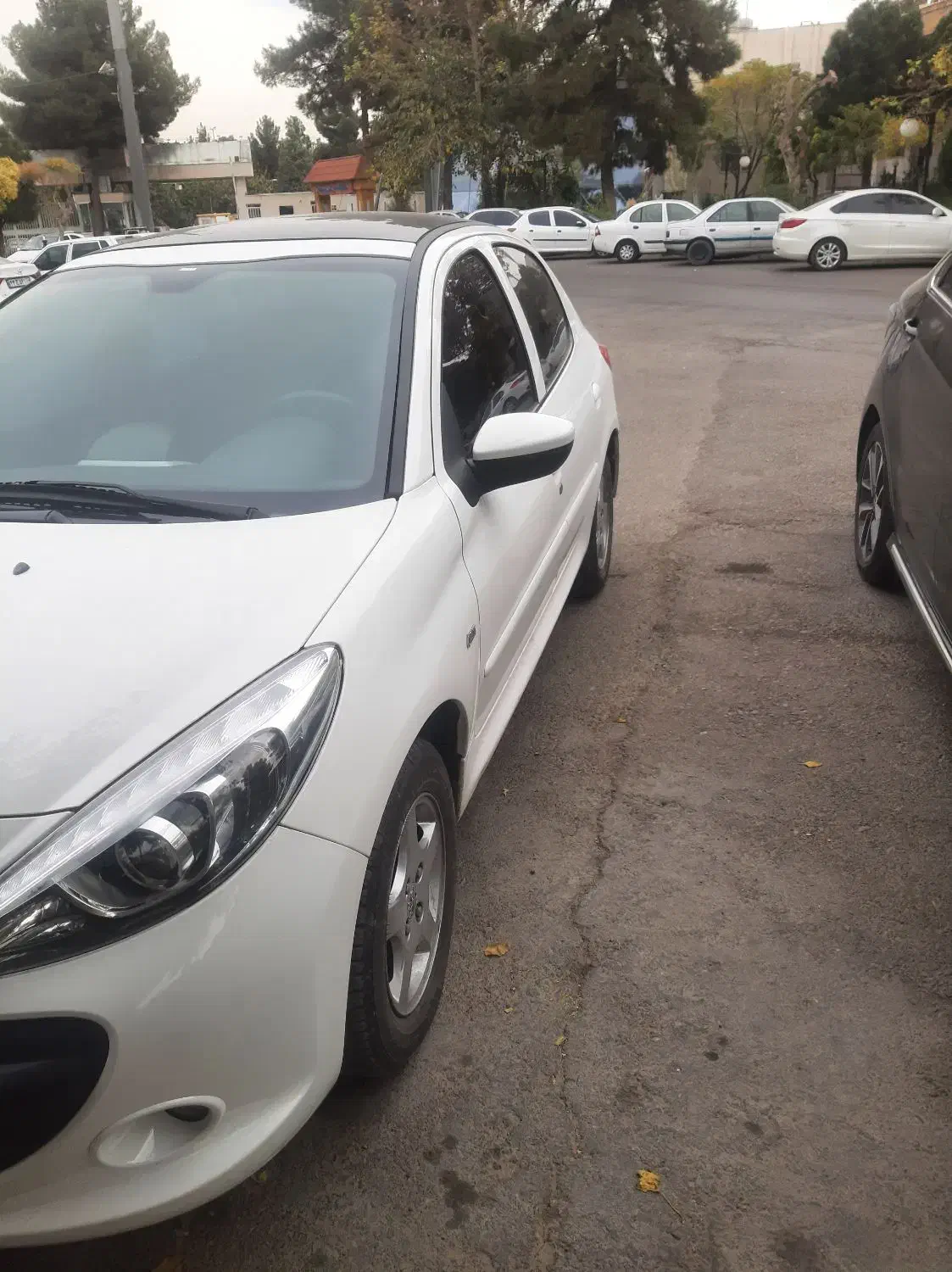 ۲۰۷ اتوماتیک پاناروما|خودرو سواری و وانت|مشهد, سجاد شهر|دیوار