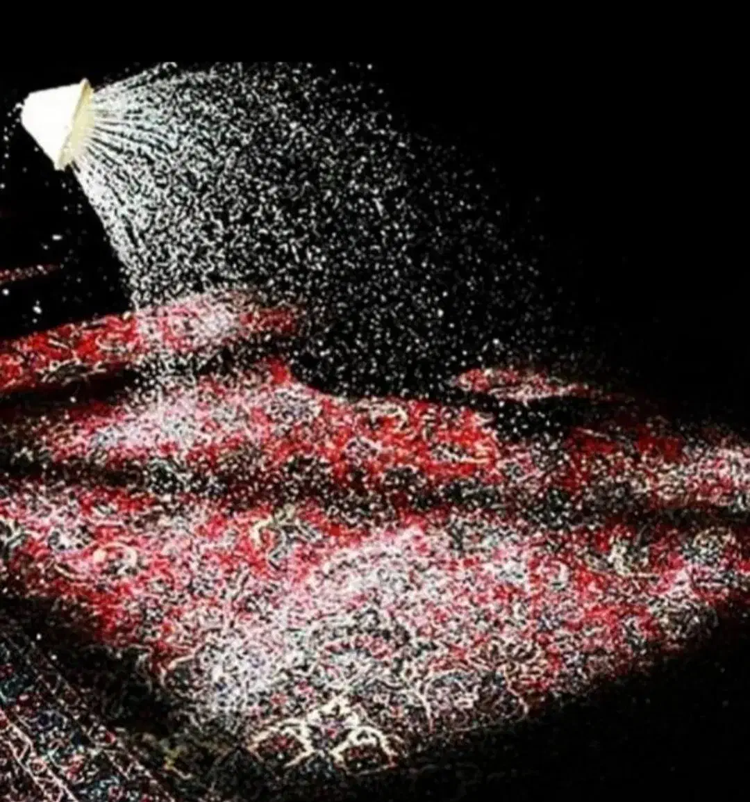 قالیشویی تهرانپارس حکیمیه فرجام هنگام شیان لویزان|خدمات نظافت|تهران, مجیدآباد|دیوار