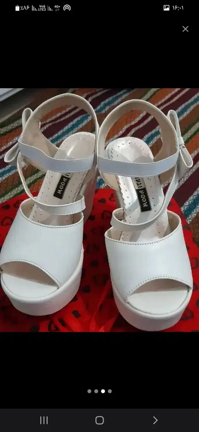 کفش مجلسی|کیف، کفش، کمربند|قم, نیروگاه|دیوار