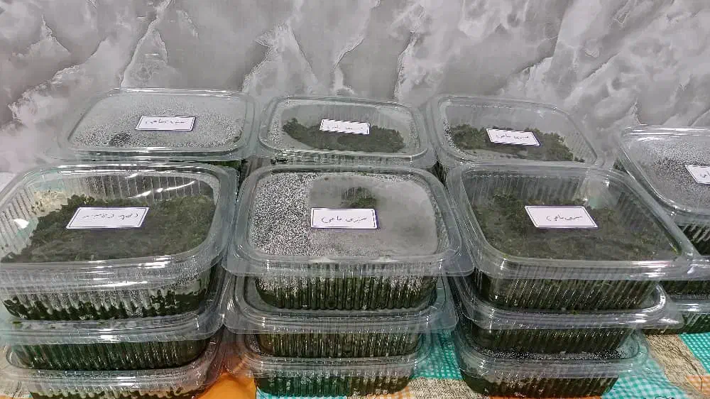 ترشی خانگی|خوردنی و آشامیدنی|میناب, |دیوار