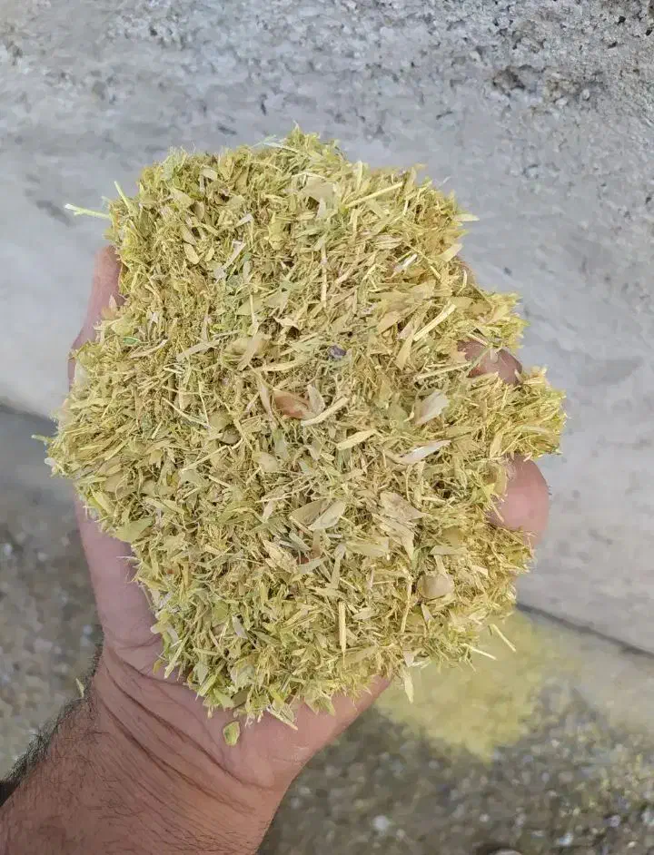 کاه عدس درجه یک 40تن|عمده‌فروشی|قیدار, |دیوار