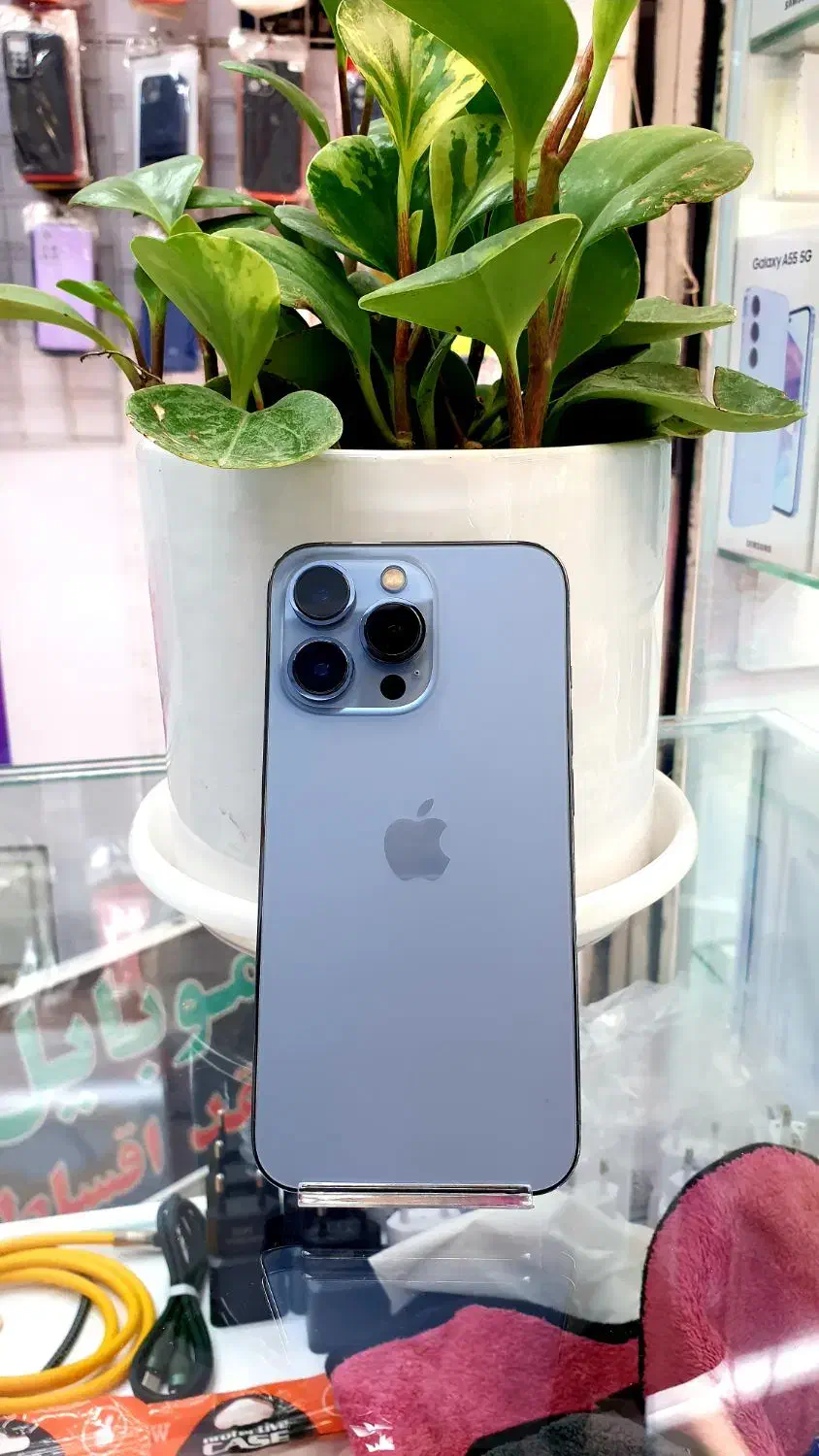 13پرو zaa|موبایل|شیراز, زند|دیوار