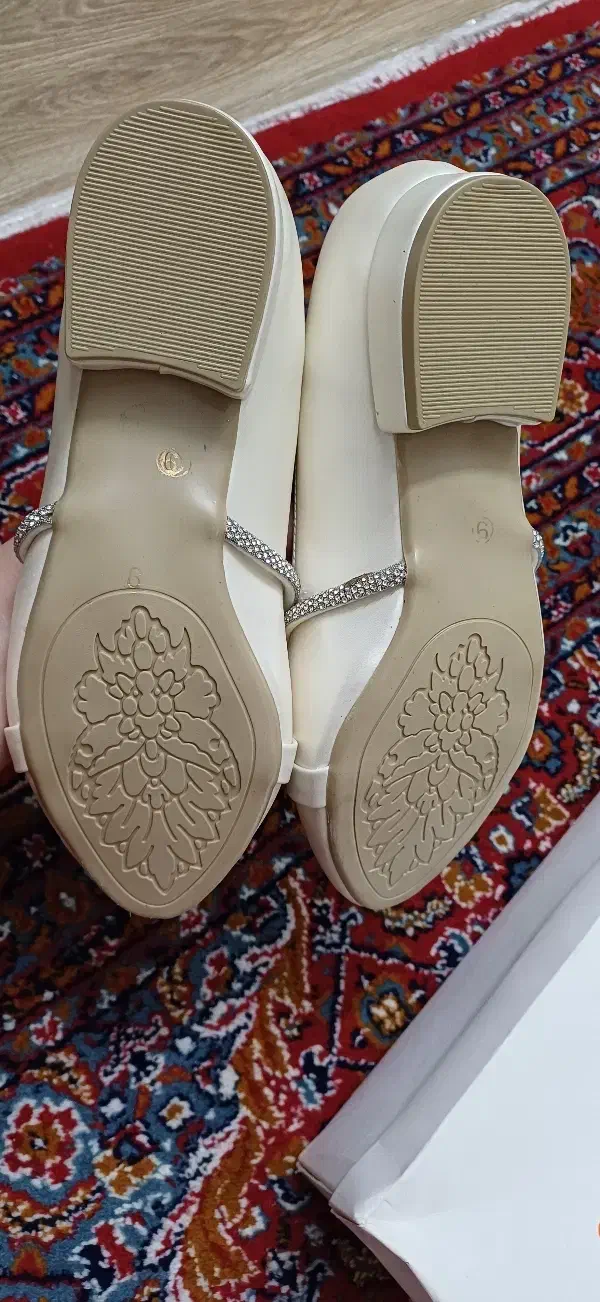 کفش|کیف، کفش، کمربند|رودسر, |دیوار