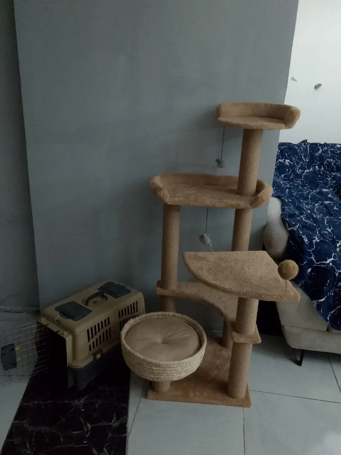 خانه درختی گربه|گربه|کرج, حسین‌آباد|دیوار