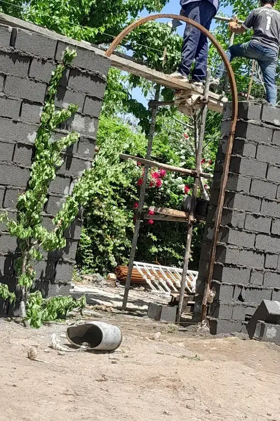 استا کار سیمان زنی سفید و سیاه دیوار چینی و...|خدمات پیشه و مهارت|تربت جام, عیدی آباد|دیوار