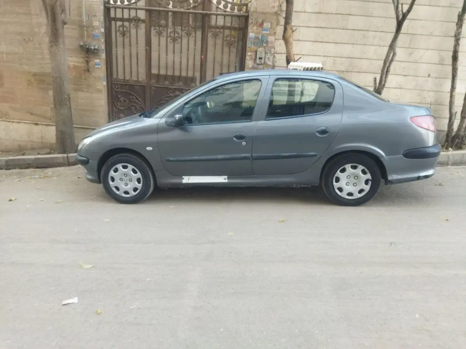 ۲۰۶اس دی وی ۱|خودرو سواری و وانت|بومهن, |دیوار