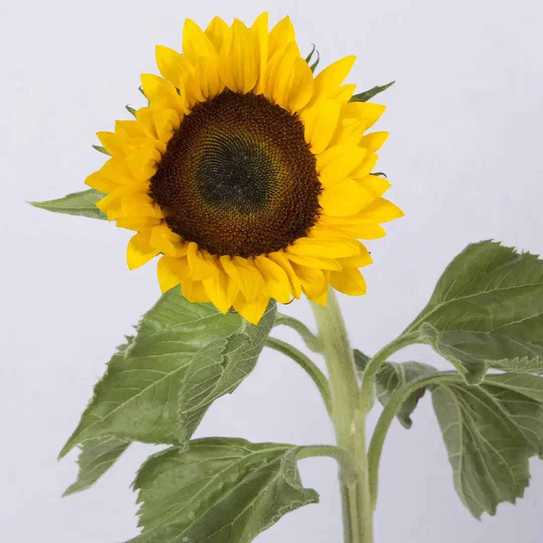 معلم خصوصی تدریس|خدمات آموزشی|همدان, |دیوار