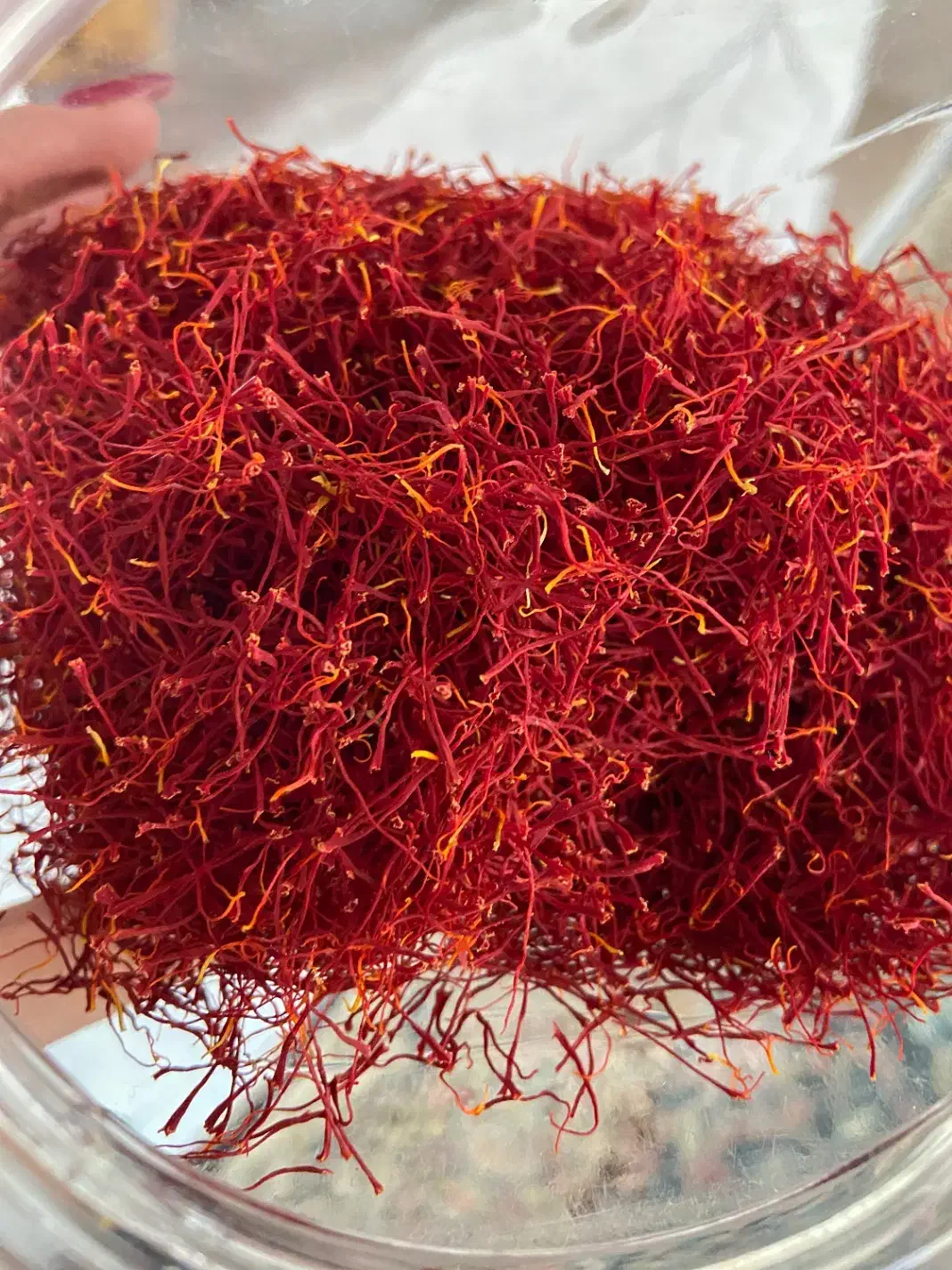 فروش زعفران|خوردنی و آشامیدنی|یزد, |دیوار