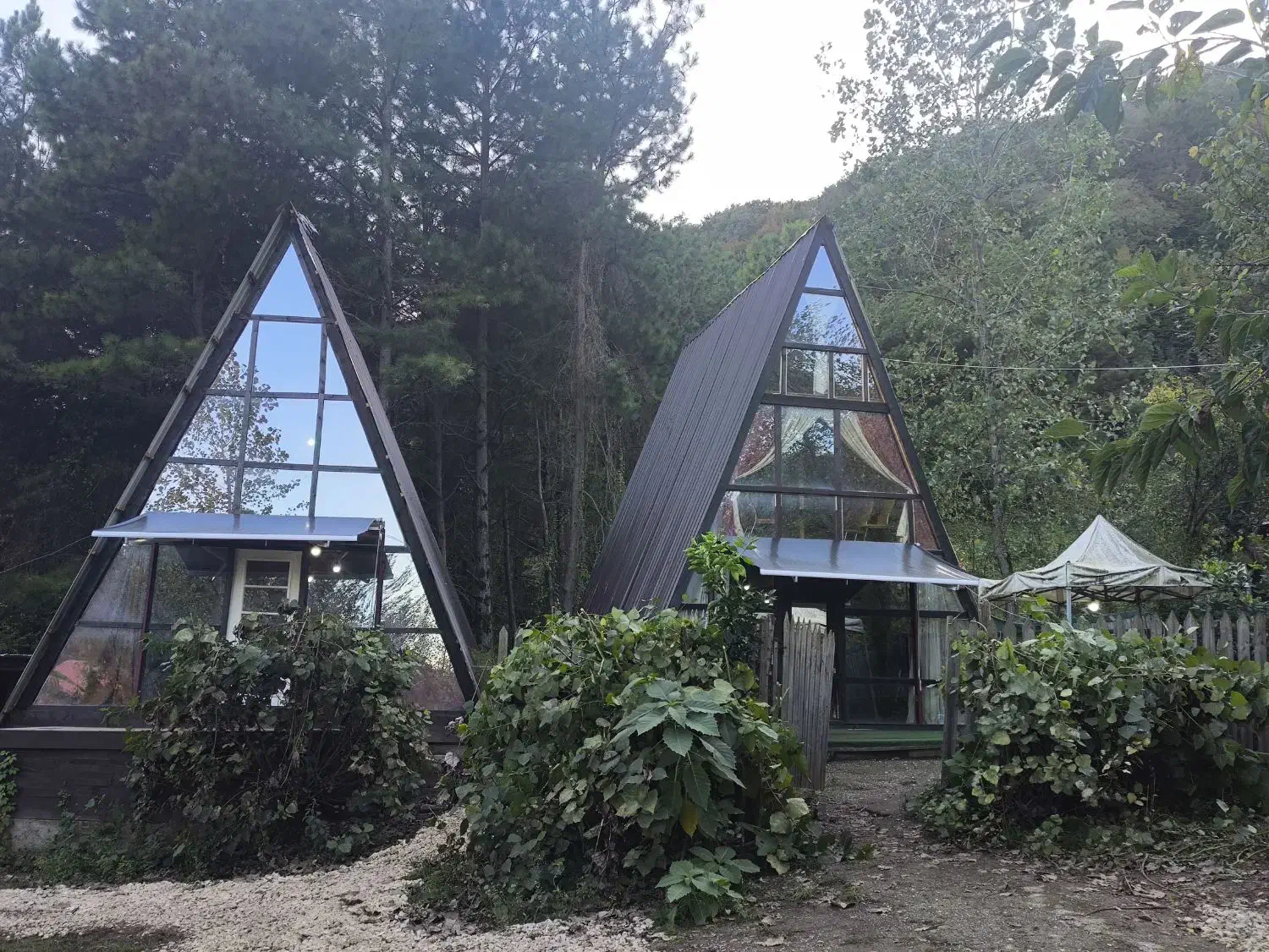 کلبه سوئیسی ویوجنگل تالاب دریاشهرروستای دربند مالک|اجارهٔ کوتاه‌مدت ویلا و باغ|آستارا, |دیوار