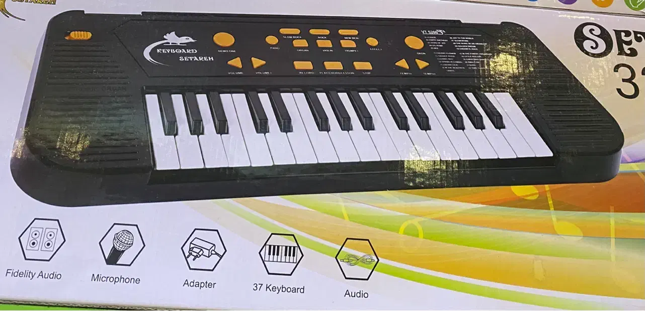 ارگ میکروفون دار شارژی|پیانو، کیبورد، آکاردئون|مشهد, احمدآباد|دیوار