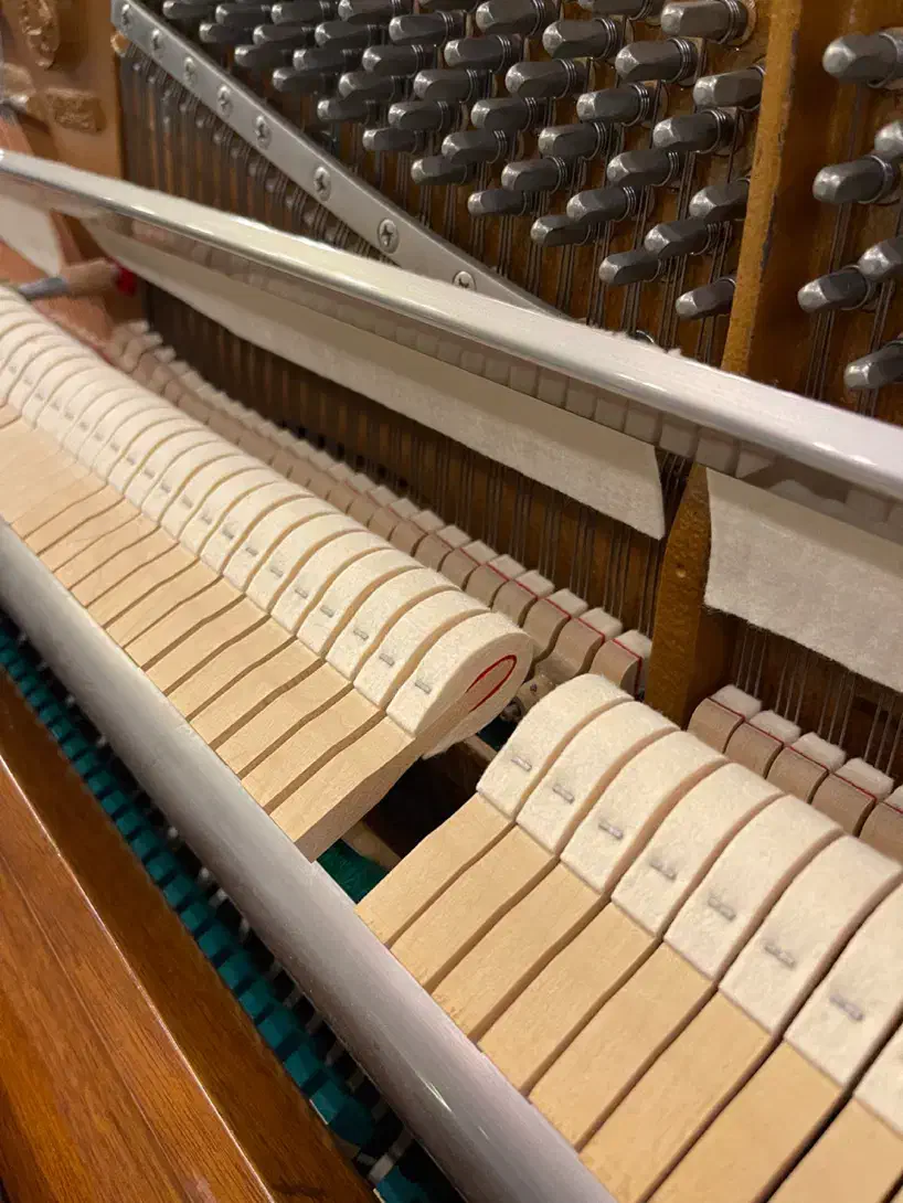 پیانو سمیک مدل js600|پیانو، کیبورد، آکاردئون|تهران, تهرانپارس غربی|دیوار