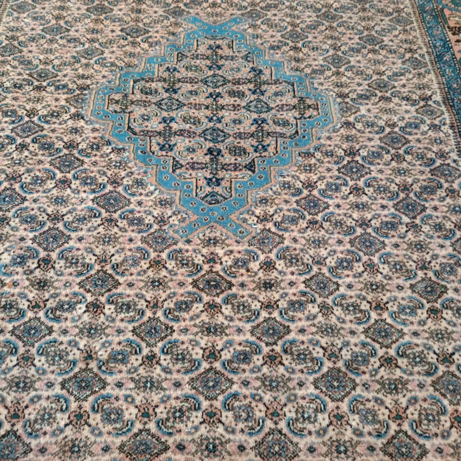 فرش و قالی دست باف|فرش|تبریز, |دیوار