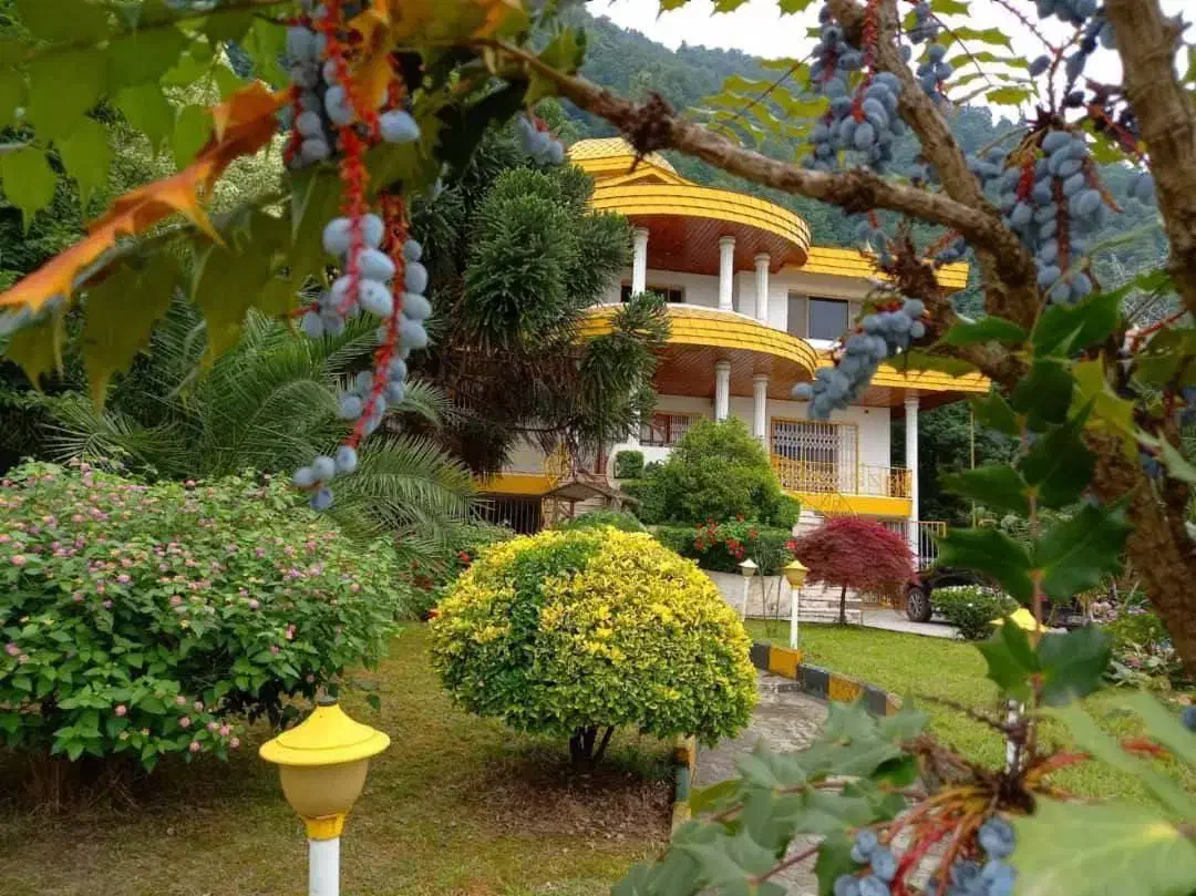 پارکویلای1700متری+فرنیشکامل+پلاکصفرجنگل+سندتکبرگ|فروش خانه و ویلا|نوشهر, |دیوار