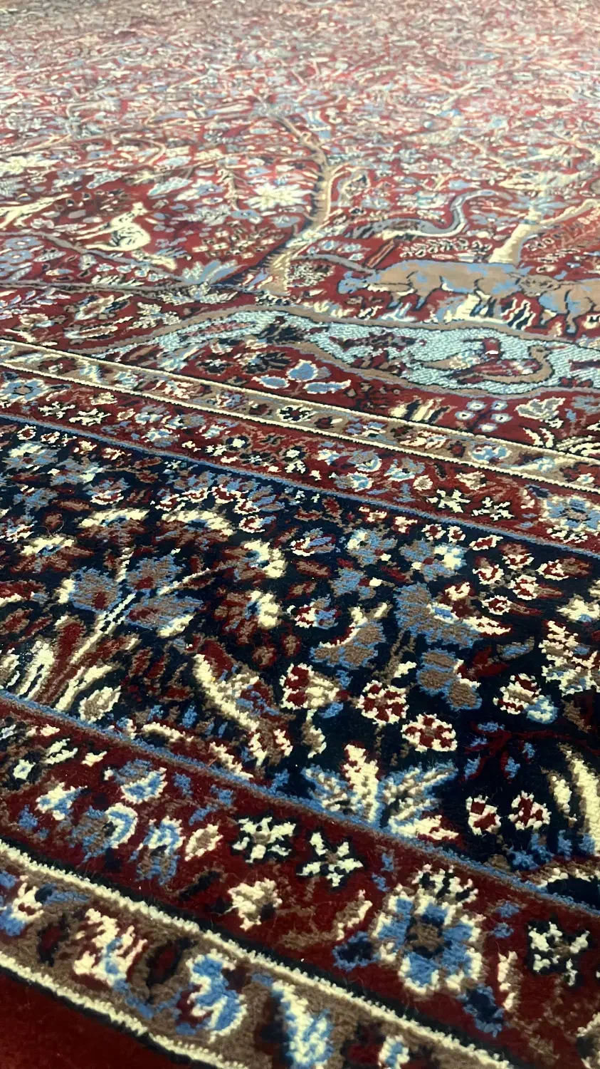 فرش ۱۲ متری در حد نو|فرش|بندرعباس, |دیوار