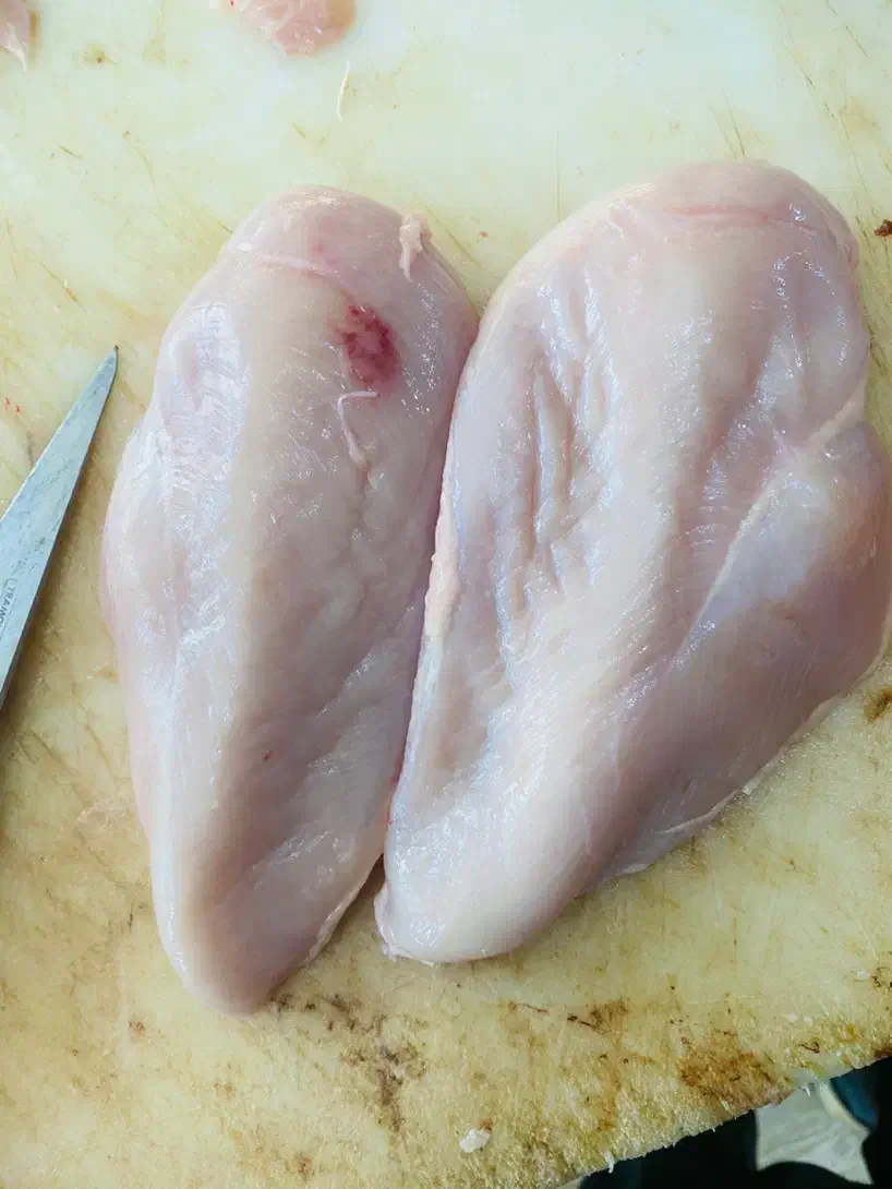 پخش مرغ سینه فیله|عمده‌فروشی|رشت, حمیدیان|دیوار