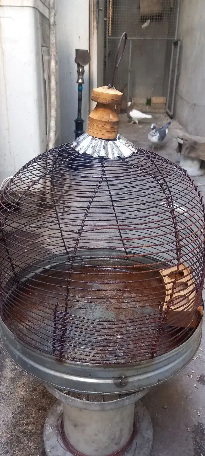 قفس پرنده|لوازم جانبی حیوانات|شیراز, شهرک صنعتی شیراز|دیوار