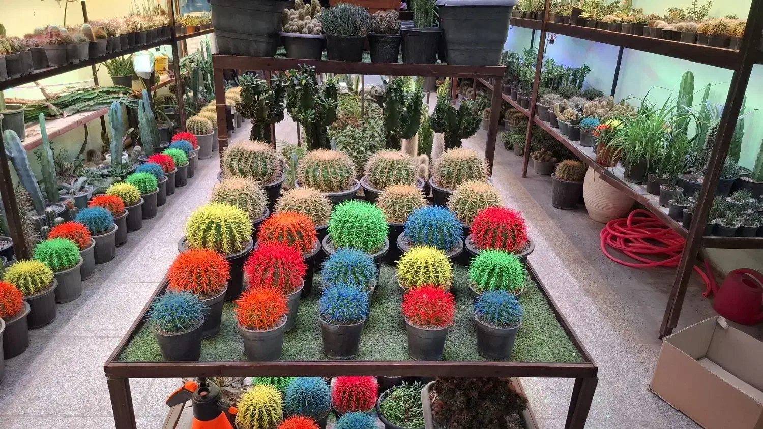 باغبانی باغچه گلدون وهرسکاری سم پاشی  گیاهان|خدمات باغبانی و درختکاری|تهران, جهاد|دیوار