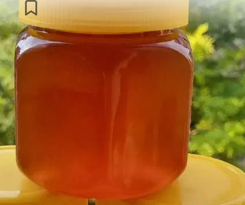 عسل طبیعی|خوردنی و آشامیدنی|نجفآباد, سعدی|دیوار