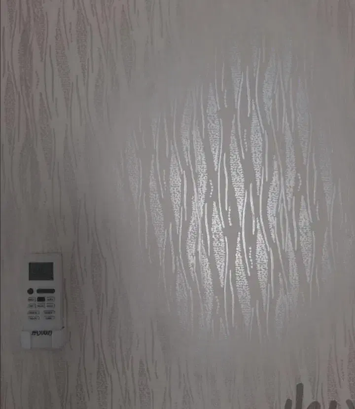 نقاشی وطراحی بارنگ|خدمات پیشه و مهارت|بندر انزلی, عباس آباد|دیوار