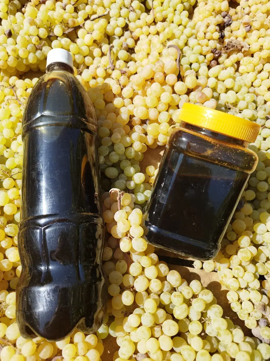 شیره انگور خالص کشمش|خوردنی و آشامیدنی|تهران, ترمینال غرب|دیوار